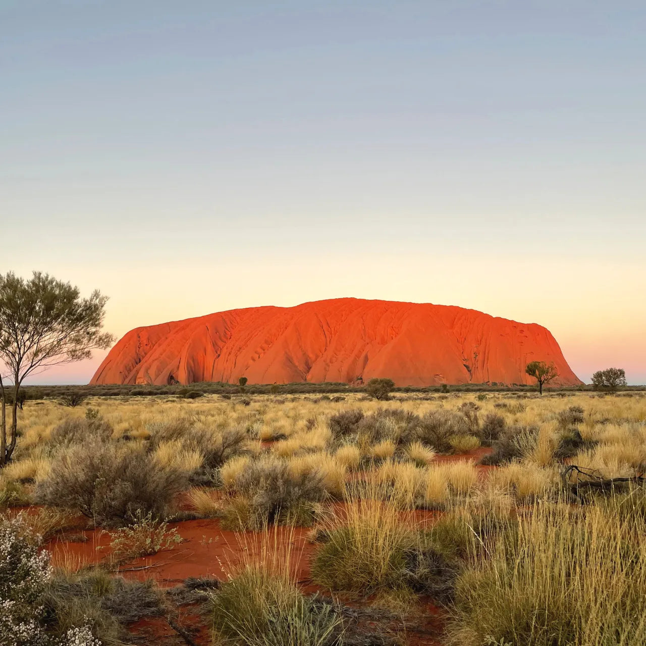 Red soil 赤土の大地 -Aussie color Anklet-