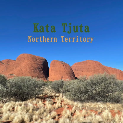 小道の散歩 Bush Walk -Aussie Color Necklace-